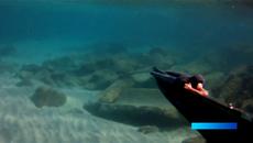 Българин ще прави изкуствен коралов риф в Гърция на остров Самос - Videoclip.bg