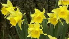 Весна!!! Пробуждение природы ! - Videoclip.bg