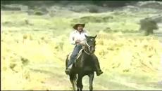 ¡Como Méjico no hay dos! – Vicente Fernández - Videoclip.bg