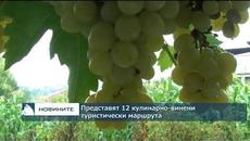 12 винено-кулинарни маршрута ще привличат туристи целогодишно - Videoclip.bg
