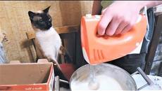 СМЕШНЫЕ КОТЫ И КОШКИ 2018 ЛУЧШИЕ ПРИКОЛЫ С КОТАМИ И ДРУГИМИ ЖИВОТНЫМИ 2018 #2 Март - Videoclip.bg