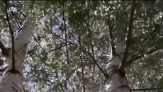 ЗА ТИХОЙ РЕКОЮ - Videoclip.bg