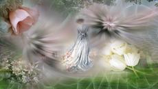 Цветовете на пролетта - бели лалета! - Videoclip.bg