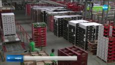 Тонове токсични храни, внесени от Турция в Гърция бяха иззети - Videoclip.bg