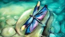 Акварел:Рисуване на водно конче (от Maria Raczynska) - Videoclip.bg