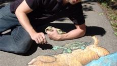 Художник оживява улиците с рисунки - Дейвид Зин (David Zinn Art) - Videoclip.bg