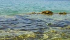 Zorica Brunclik - Ako je od boga - Videoclip.bg