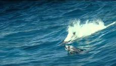 Oxygene - The Ocean - Videoclip.bg