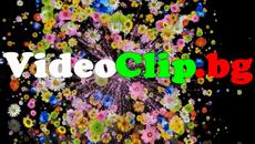 VideoClip.bg влез в приключението - Videoclip.bg