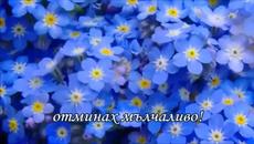 Честита Цветница 2017 с песен ! Незабравка - Videoclip.bg