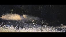 Nidza Bleja - ZAGREB (official HD video) 2017 - Videoclip.bg