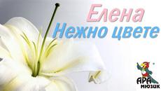 Елена - Нежно цвете 2000 - Videoclip.bg