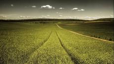 Bad Company - The Way I Choose - Videoclip.bg