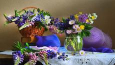 ????????Лятна симфония от багри и красота! ???? ???? - Videoclip.bg