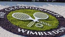 Любопитни факти за Уимбълдън Wimbledon 2017 с Google Doodle - Videoclip.bg