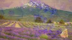 Красота в Лилави Багри-Лавандулови полета! Michael Hoppé ~ Lavender Shadows - Videoclip.bg