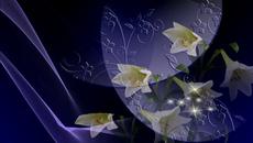 •ღ✿Бели лилиуми! ... (Victor Huynh music) ...✿ღ• - Videoclip.bg