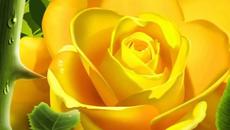 Dusko Lokin - Ние сме уморени от любов - Videoclip.bg