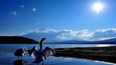 David Garrett -  "Лебедово езеро" - (Пьотр Чайковски) - Videoclip.bg