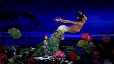 Lotus Heart - Corazón de Loto - Videoclip.bg