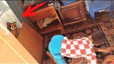 Если бы он не был снят, никто бы этому не поверил! 2017 Белочка пришла ВЫЗОВ - ДОСМОТРЕТЬ ДО КОНЦА - Videoclip.bg