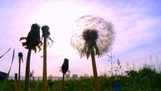 Посрещаме есен 2017 с дъждове и ниски температури - Videoclip.bg