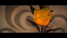 *Любовта си отива* -Demarco Flamenco & Maki Ft. Borja Rubio/New 2017 - Videoclip.bg