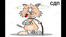 КОТАРАК С УДАРЕН КРАК:ВЕСЕЛО ДЕТСКО СТИХЧЕ - Videoclip.bg