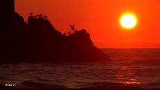 Omar Akram -  Surrender - Videoclip.bg