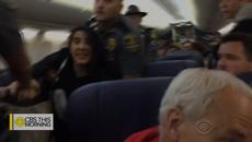 Свалиха жена от самолет, вместо… две кучета - Videoclip.bg