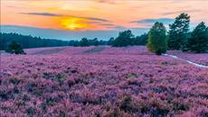 The Les Humphries Singers - Mama Loo - Videoclip.bg