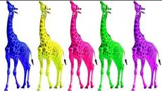 Learn Colors with Colorful GIRAFFE Finger Family Colours Learn Funny Cartoon for Kids Toddlers - Videoclip.bg