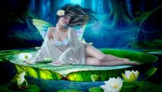 ｡✿‿✿ Дарове от природата - цветя в езерото! ✿‿✿｡ - Videoclip.bg