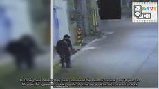 Заловиха "нинджата на нашето време" Japan's ninja cat burglar is unmasked as a 74-year-old - Videoclip.bg