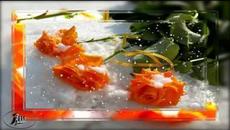 РОЗЫ НА СНЕГУ - Videoclip.bg