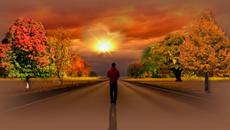 Път през гората! ... (Orange Road - Daveed (guitar & violin music) - Videoclip.bg