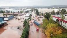 Вижте трагедията в Гърция, - Videoclip.bg