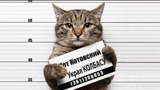 ПРИКОЛЫ С КОТАМИ 2017 РУССКИЕ КОТЫ И КОШКИ ВОРИШКИ - Videoclip.bg