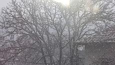 20171217_122505 - Videoclip.bg