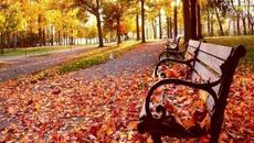 Веселин Маринов - Честита Нова Година 2018 - Videoclip.bg