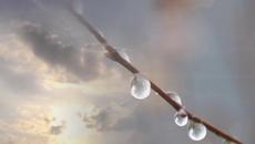 Богоявление (Йордановден) - 6-ти януари (Тази Нощ е Магична!) Честит Имен Ден на Йордан, Богдан, Йорданка, Данчо, - Videoclip.bg