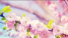 Към пролетта - Николай Лилиев - Videoclip.bg