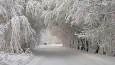 Топ 10 най големи снежни покривки !!!!!!! - Videoclip.bg