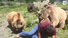 Е ТОВА Е ТО ДА ИМАШ ЗДРАВ ГРЪБ - Videoclip.bg