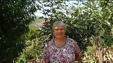 Eко градина за лентяи - Videoclip.bg