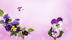 ТЕМЕНУЖКА - Videoclip.bg