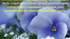 Цветница! Честит Имен ден - Videoclip.bg