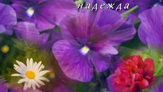 Цветница, Честит Празник! - Videoclip.bg