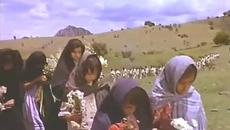 “Corrido de Lucio Vázquez“ - Videoclip.bg