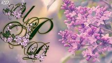 Честит Рожден Ден, Ани! - Videoclip.bg